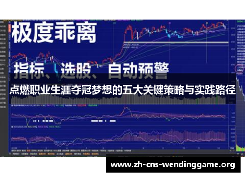 点燃职业生涯夺冠梦想的五大关键策略与实践路径