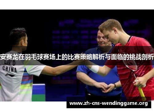 安赛龙在羽毛球赛场上的比赛策略解析与面临的挑战剖析
