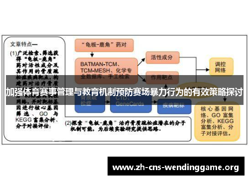 加强体育赛事管理与教育机制预防赛场暴力行为的有效策略探讨