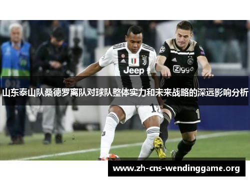 山东泰山队桑德罗离队对球队整体实力和未来战略的深远影响分析