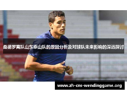 桑德罗离队山东泰山队的原因分析及对球队未来影响的深远探讨