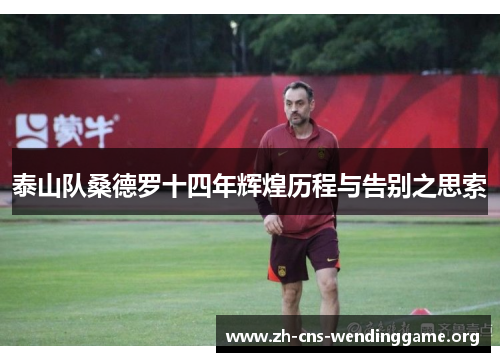 泰山队桑德罗十四年辉煌历程与告别之思索