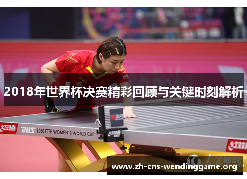 2018年世界杯决赛精彩回顾与关键时刻解析