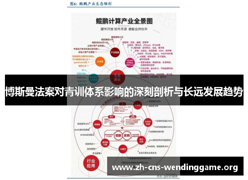 博斯曼法案对青训体系影响的深刻剖析与长远发展趋势