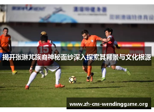 揭开张琳芃族裔神秘面纱深入探索其背景与文化根源