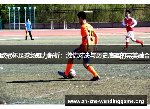 欧冠杯足球场魅力解析：激情对决与历史底蕴的完美融合