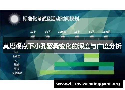 莫塔观点下小孔塞桑变化的深度与广度分析