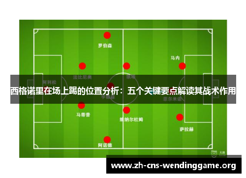 西格诺里在场上踢的位置分析：五个关键要点解读其战术作用