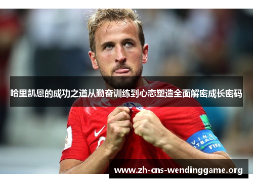 哈里凯恩的成功之道从勤奋训练到心态塑造全面解密成长密码
