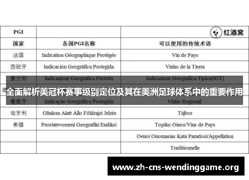 全面解析美冠杯赛事级别定位及其在美洲足球体系中的重要作用
