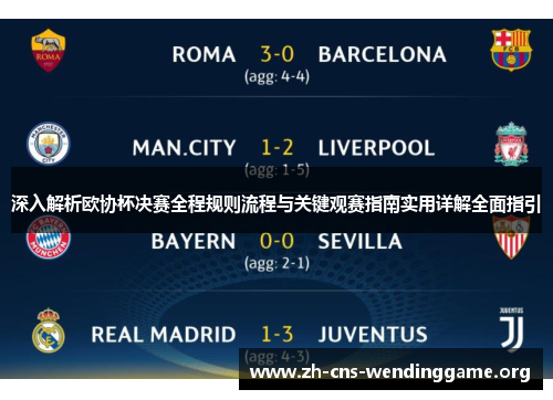 深入解析欧协杯决赛全程规则流程与关键观赛指南实用详解全面指引
