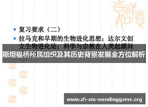斯坦福桥所属组织及其历史背景发展全方位解析